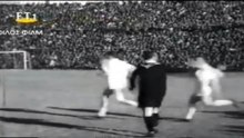 the ref