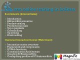 SAP CRM ONLINE TRAINING IN USA,UK,CANADA