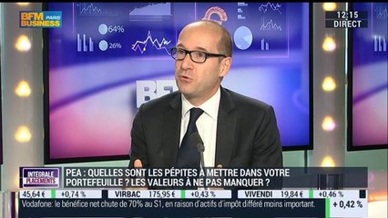 Comment choisir les valeurs à mettre dans son PEA pour 2015 ?: Jean-François Delcaire - 11/11