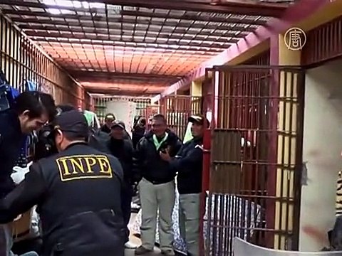 В Перу арестован член «Хезболлы», готовивший теракты