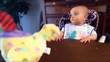 Tavuk yumurtladıkça sevinçten uçan bebek