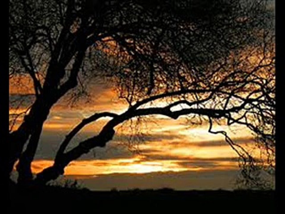 Moonlight Shadow (Mike Oldfield Cover)