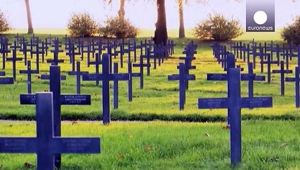 День перемирия: французы чтут память бывших врагов