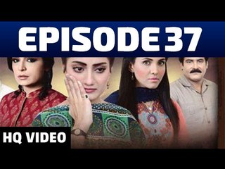 Qismat Episode 37 on Ary Digital 11th November 2014 Full Episode