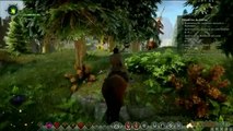 Gaming live Dragon Age Inquisition - L'Inquisition en mode exploration 1/3 PC