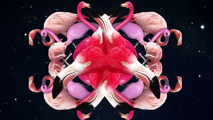 Facts That Sound Like Huge Lies