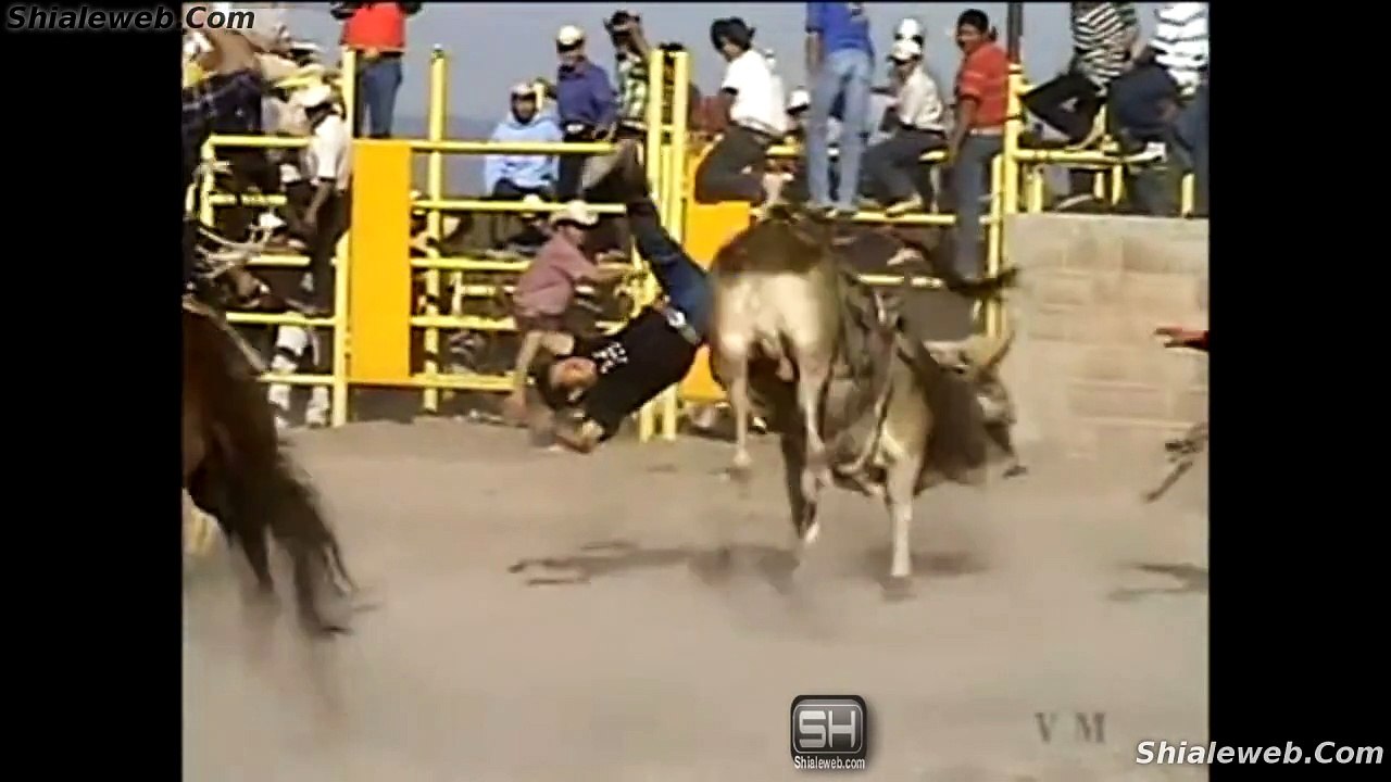 Muertes Caidas Porrazos Y Sustos Jaripeo Extremo Montando Toros