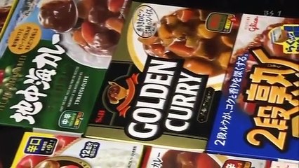 BEGIN Japanology   Curry