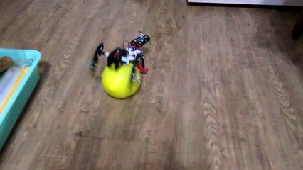 20141111遲緩的機車成功