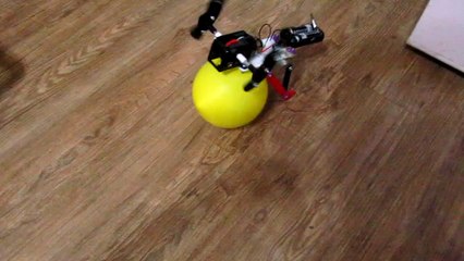 20141111喔耶耶喔啦啦