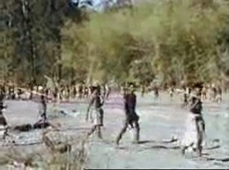 Timor: Hunting in dry weather, 1953