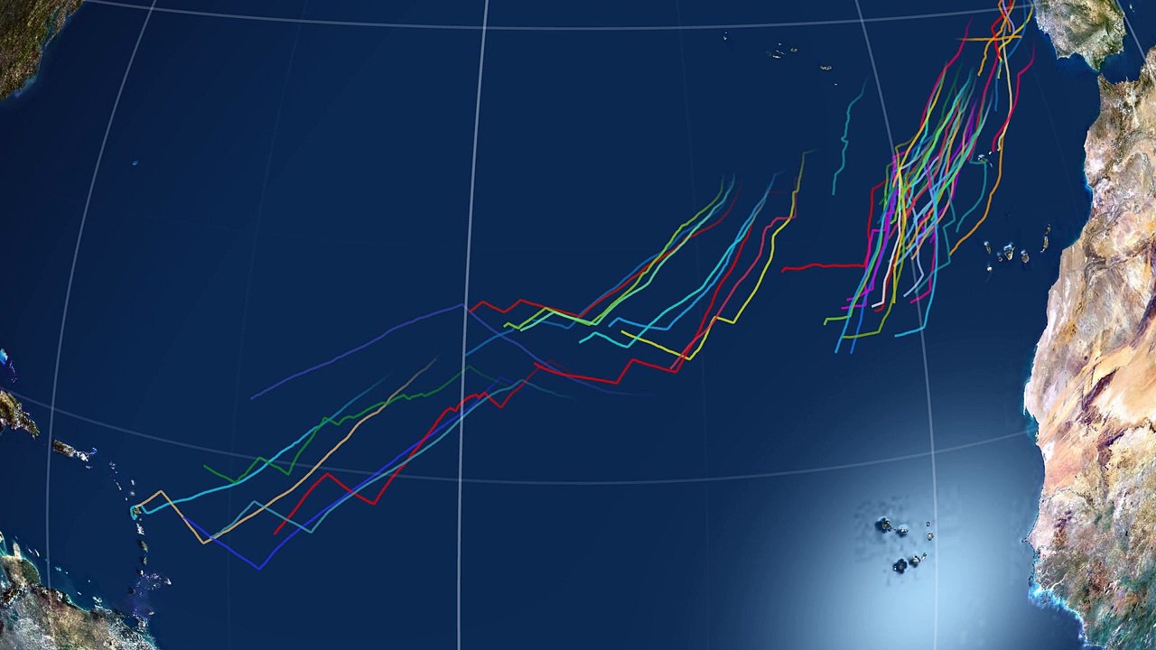 La carto 3D du 9ème jour de course