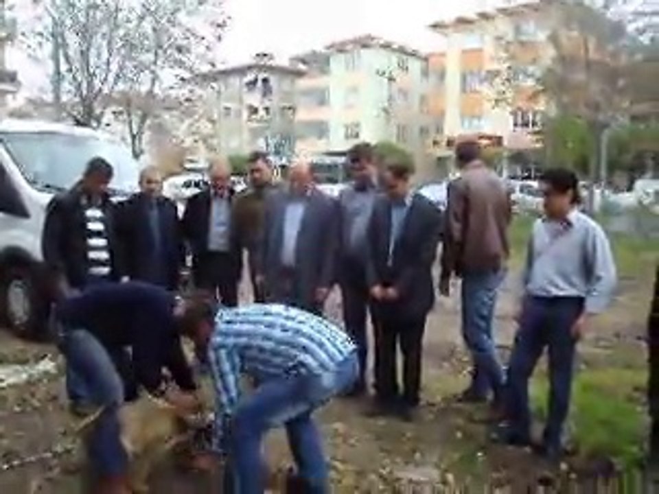 Yeni Araç İçin Kurban Kesildi