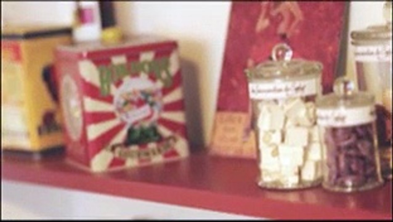 Les chats de la maison