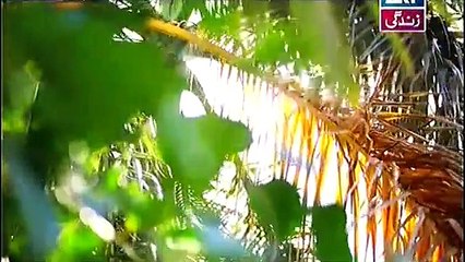 Rishtay Episode 120 Full on Ary Zindagi 11th November 2014