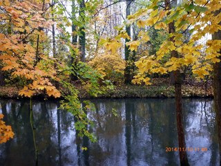 Automne à Sélestat