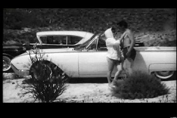 The Skydivers Trailer