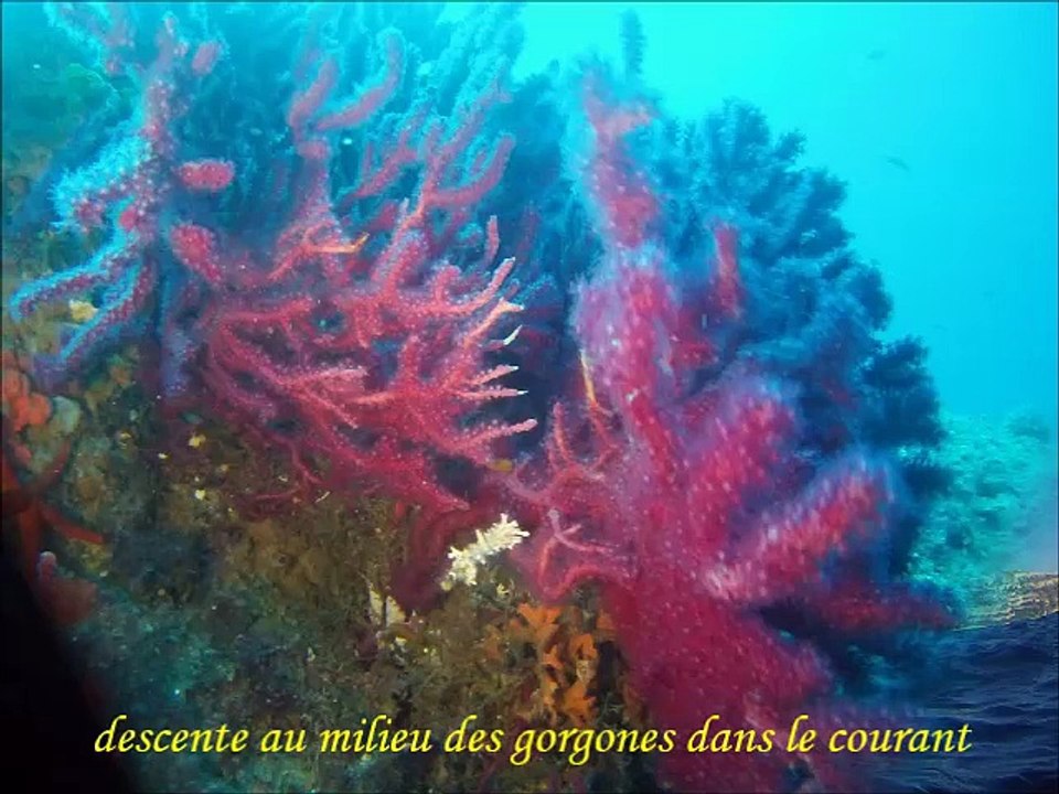 les pains de sucre à Riou