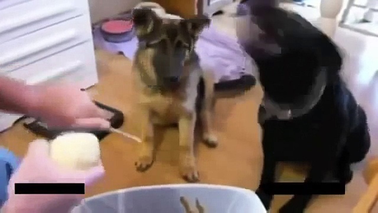 [+18 ~ Sexy Funny Girl]Funny Videos - Fail Compilation, Funny Pranks and Funny Cats Videos _ New Funny Video(14)