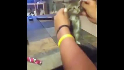 [+18 ~ Sexy Funny Girl]Pranks - Gags - Win - Fail.239