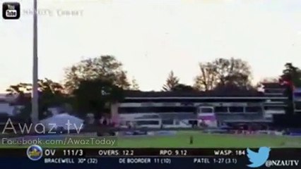 Unbelievable Cricket Crowd Catch - Spectator Wins $5000 - YouTube