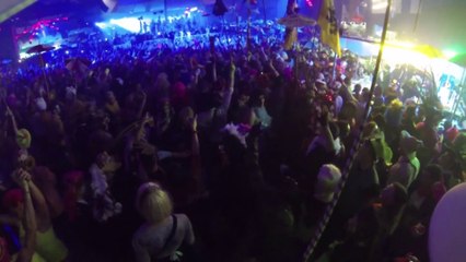 Bal du Chat Noir 2014