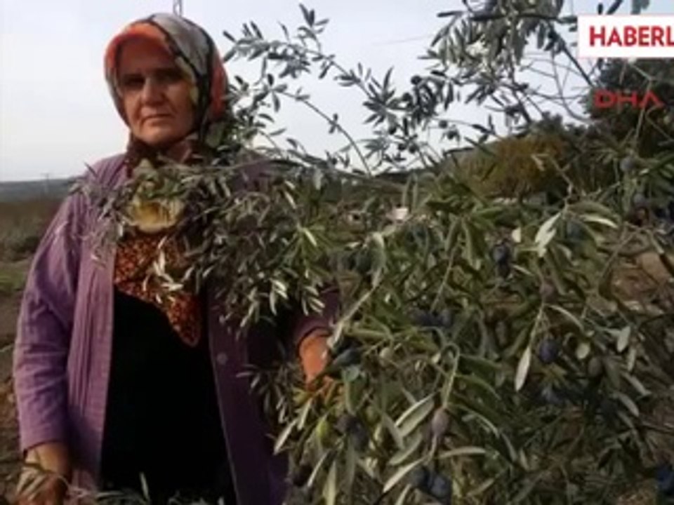 Manisa Yırcalılar Şimdi De, Darp, Mukavemet Suç...
