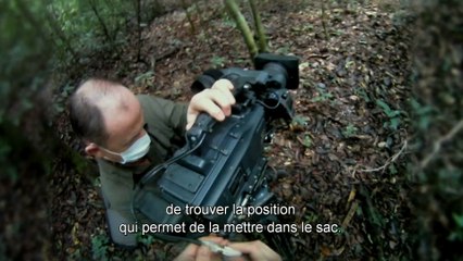 Chimpanzés - Featurette VOST