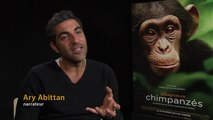 Chimpanzés - Making Of (3) VOST