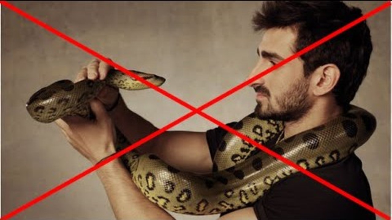 Say NO To 'Eaten Alive' !