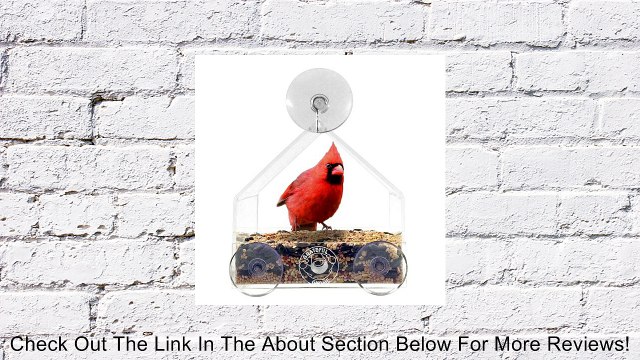 Grateful Gnome - Window Bird Feeder - Clear Acrylic House for Small or Large Wild Bird Like Finch and Cardinal - Best Cheap Modern Unique and Unusual Window Bird Feeder Out There - Cool (Virtually Squirrel Proof) Platform Tray Station for Backyard Window.