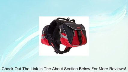 EzyDog Summit Dog Backpack Review