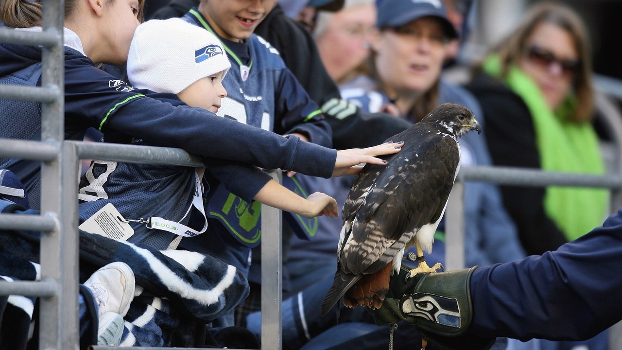 Seahawks mascot cap