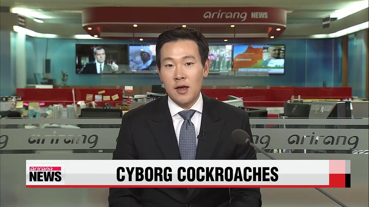 Cyborg cockroaches developed by U.S. researchers to help rescue victims