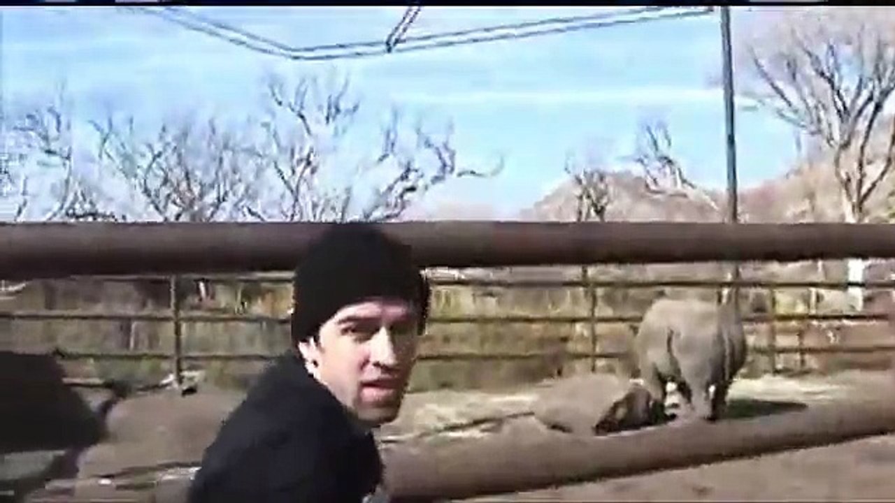 Guy Rides Rhino