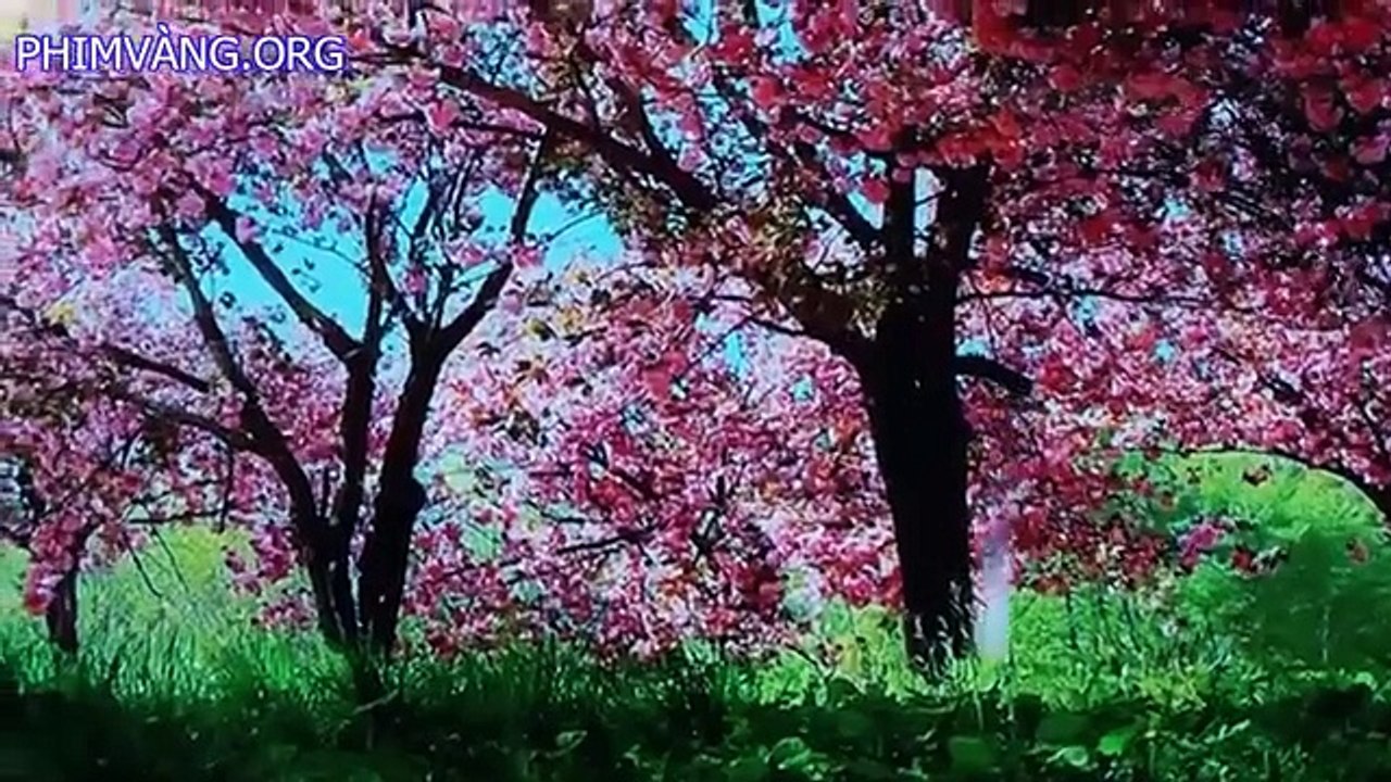 Lucy_2