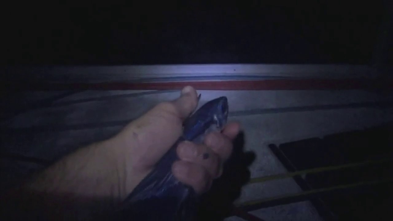 1er poissant volant à bord de Team Plastique AFM Telethon ! - Jour 9