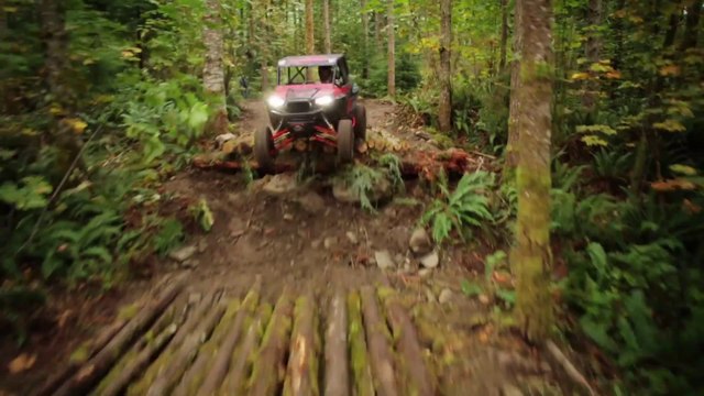 Buggy customisé : faire du tout terrain extrême sur un circuit rempli d'obstacles!