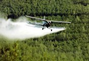 CALIFORNIA WANTS TO PUNISH THE NO GMO MOVEMENT AND SPRAY ALL ORGANIC CROPS WITH PESTICIDES.