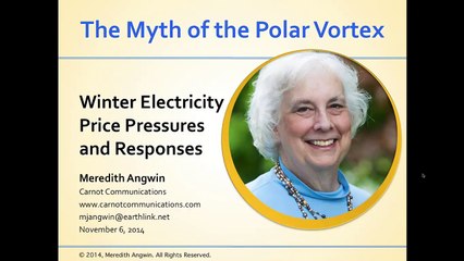 The Myth of the Polar Vortex Winter Electricity Price Pressures and Responses