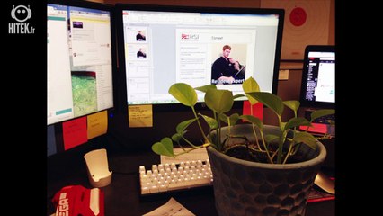 Sa collègue lui demande de s'occuper de sa plante, il l'emporte partout avec lui