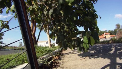 MTB, Trilha da Lua cheia, Equipe Sasselos Team, 40 km, Taubaté, Quiririm, Tremembé, Marcelo Ambrogi, (54)