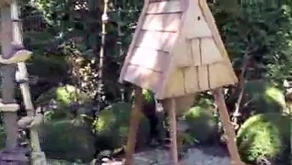 Karakovan İle Kavanoza Bal Yaptırılması