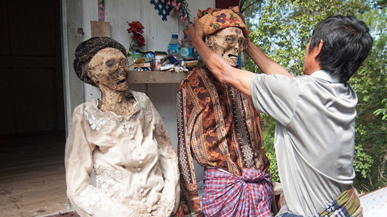 The Living Dead - Shocking!