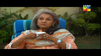 Shanakht Episode 13 full 11 November 2014 Hum Drama