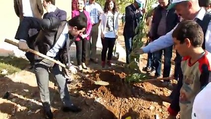 ağaçlandırma harran