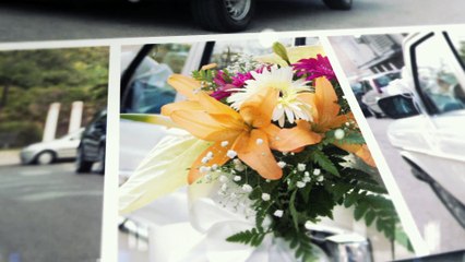 Videobook Vero y Jose