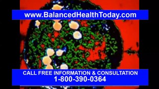 Male yeast infection bacteria that can cause disease best antioxidant supplement ellagica