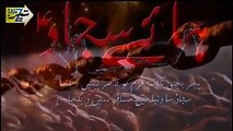 تشہیر کے تیروں نیزوں سے سجادؑ کو مارا جاتا ہے