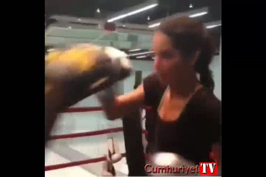Adriana Lima'dan boks şov